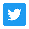 twitter icon