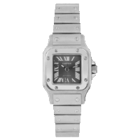 Cartier Santos Galbee SIHH Asia Edition 24mm Stainless Steel Women’s 2423